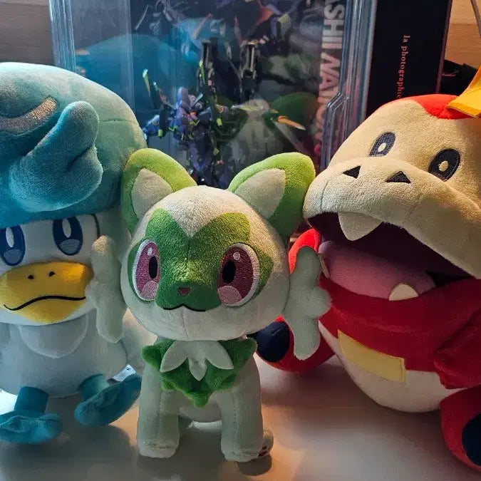 [BUNJANG] Pokemon Mid-Size Plush Set / 포켓몬스터 중형 인형 세트