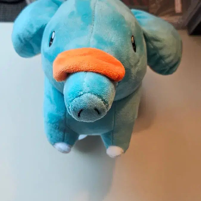 [BUNJANG] Pokemon Torchic Medium Plush Doll / 포켓몬스터 코코리 중형 인형