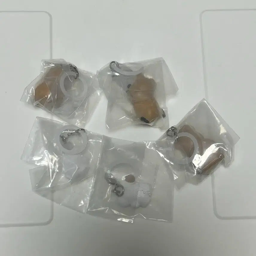 [BUNJANG] Dino Tang Gacha (Set of 5) / 다이노탱 가챠 (전5종)