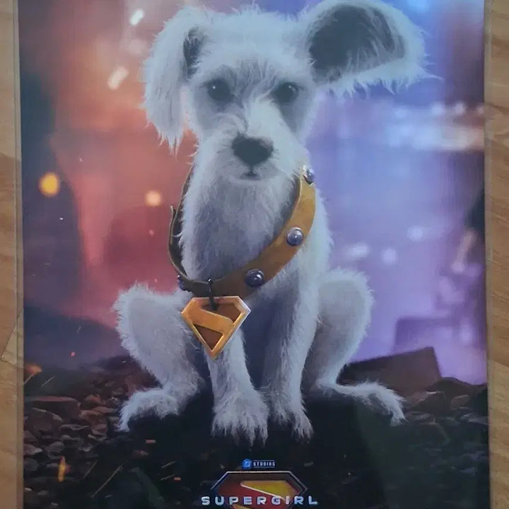 [BUNJANG] Lotte Cinema Supergirl Art Card / 롯데시네마 슈퍼걸 아트카드