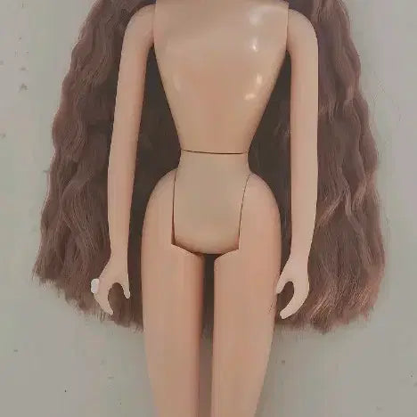 [BUNJANG] Rica Castle New Jennie Doll / 리카캐슬 뉴제니 인형 제니인형