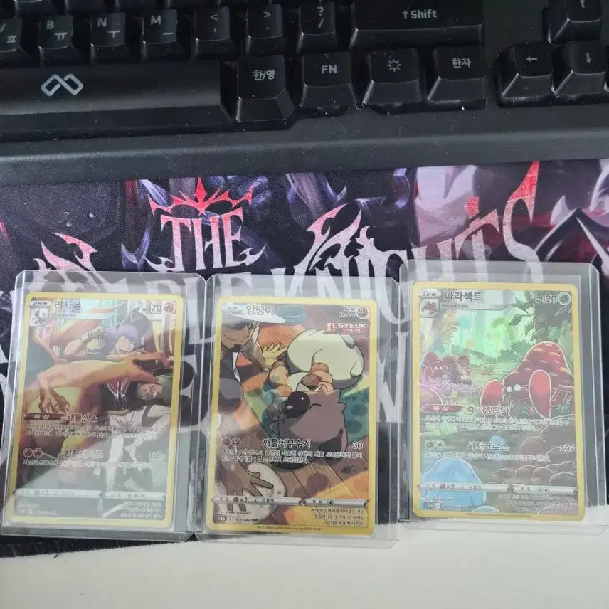 [BUNJANG] Pokemon Card Rich Dong, Rockruff, Parasect 3-Card Set / 포켓몬 카드 리자몽 암멍이 파라섹트 3장 세트
