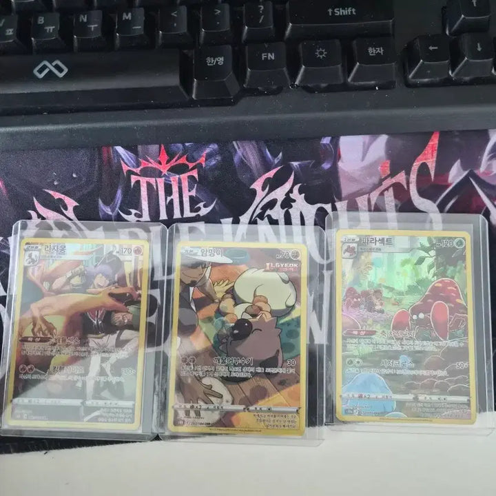[BUNJANG] Pokemon Card Rich Dong, Rockruff, Parasect 3-Card Set / 포켓몬 카드 리자몽 암멍이 파라섹트 3장 세트