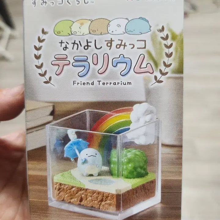 [BUNJANG] Sumikko Gurashi Terrarium / 스밋코구라시 테라리움