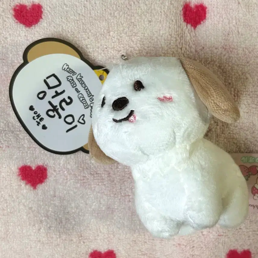 [BUNJANG] RIIZE 1st Gen 10cm Plush Toy Anton (Meongryong) / (급처/곧 내릴 예정) 라이즈 1기 인형 10cm 멍룡이 앤톤