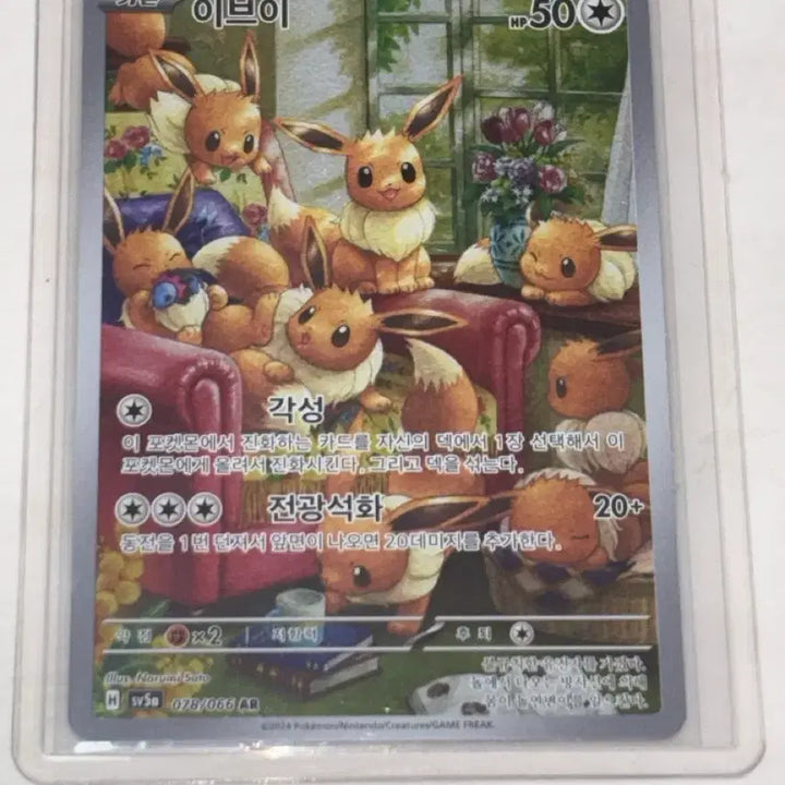 [BUNJANG] Pokemon Cards Bundle Set (SAR, SR, AR) / 포켓몬카드 sar sr ar 등등 일괄 판매