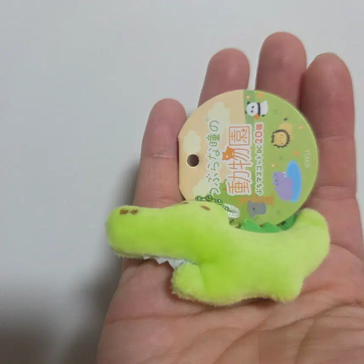 [BUNJANG] Tsuburana Hitomi Doobutsuen "Eyeball" Animal Plush Keychain Strap Alligator / 츠부라나 히토미노 도부츠엔 눈알 인형 키링 스트랩 열쇠고리 악어