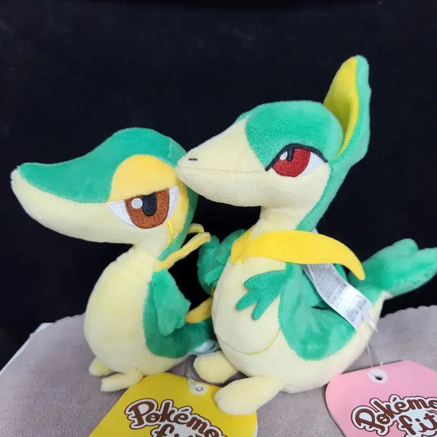 [BUNJANG] Pokemon Center Fit Shabby Plush / 포켓몬센터 fit 샤비 인형