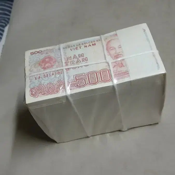 [BUNJANG] 1988 Vietnam 500 Dong Banknote Bundle / 옛날돈 1988년 베트남 500동 대관봉