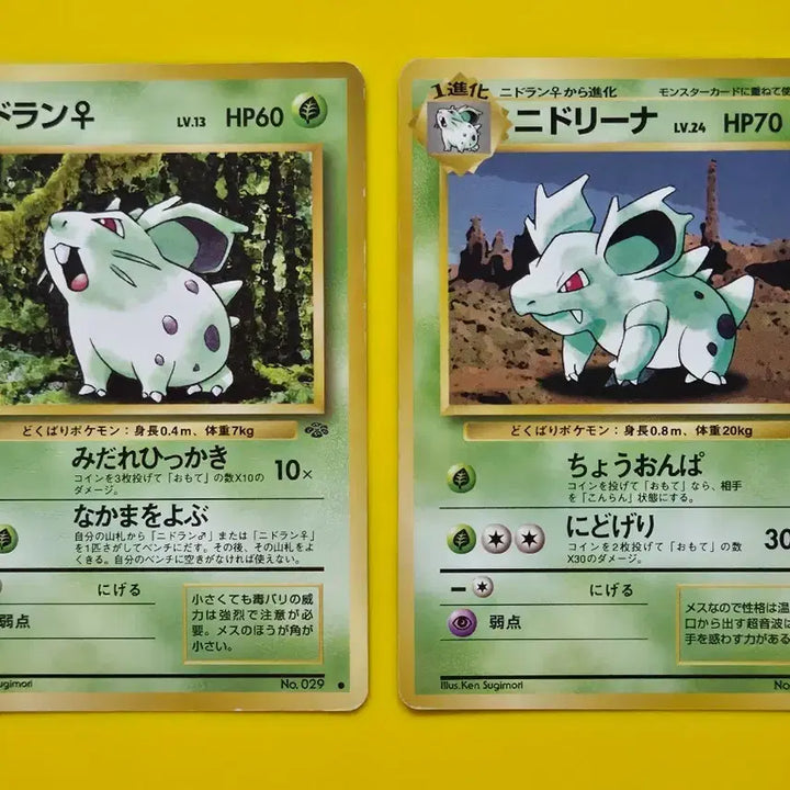 [BUNJANG] Pokemon Card Nidran Nidorina Set Early Japanese Edition (1996) / 포켓몬카드 1996 니드런 니드리나 세트 초기 일본판16