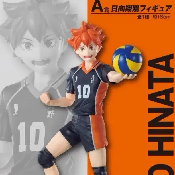 [BUNJANG] Haikyuu!! Hinata Shoyo Prize Figure / 하이큐 히나타 쿠지 피규어
