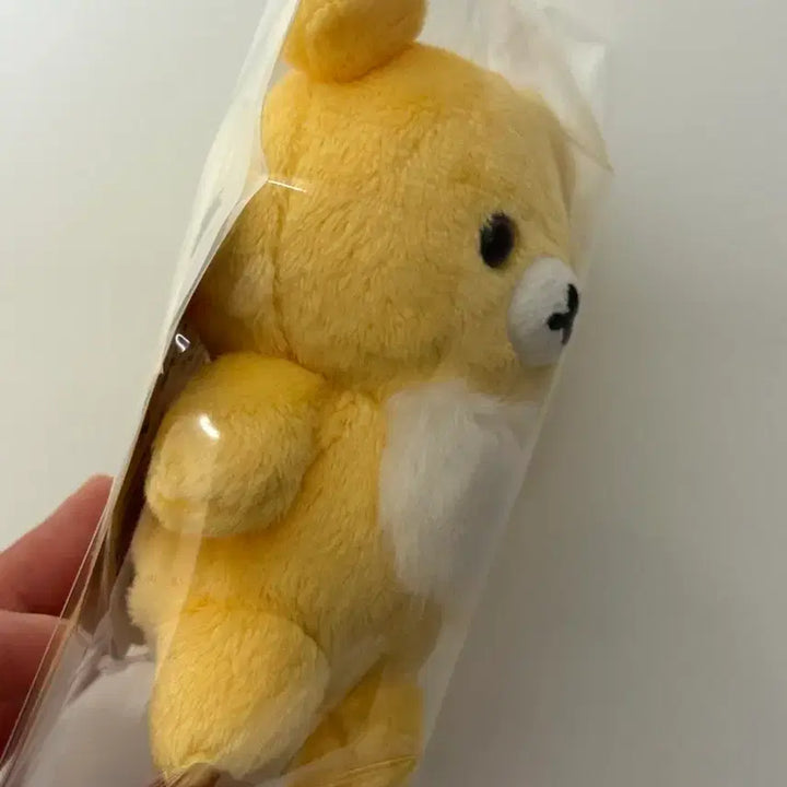 [BUNJANG] Chairoikoguma 10th Anniversary Cheese Koguma Rilakkuma (Limited Edition) / 차이로이코구마 10주년 치즈 코구마, 리락쿠마 (한정판)챠이로이코구마