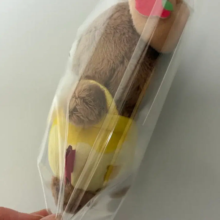 [BUNJANG] San-X Rilakkuma Honey Bee Explorer Chai-Riko-Kuma Plush / 꿀벌 탐험대 차이로이코구마, 리락쿠마 (신상)챠이로이코구마