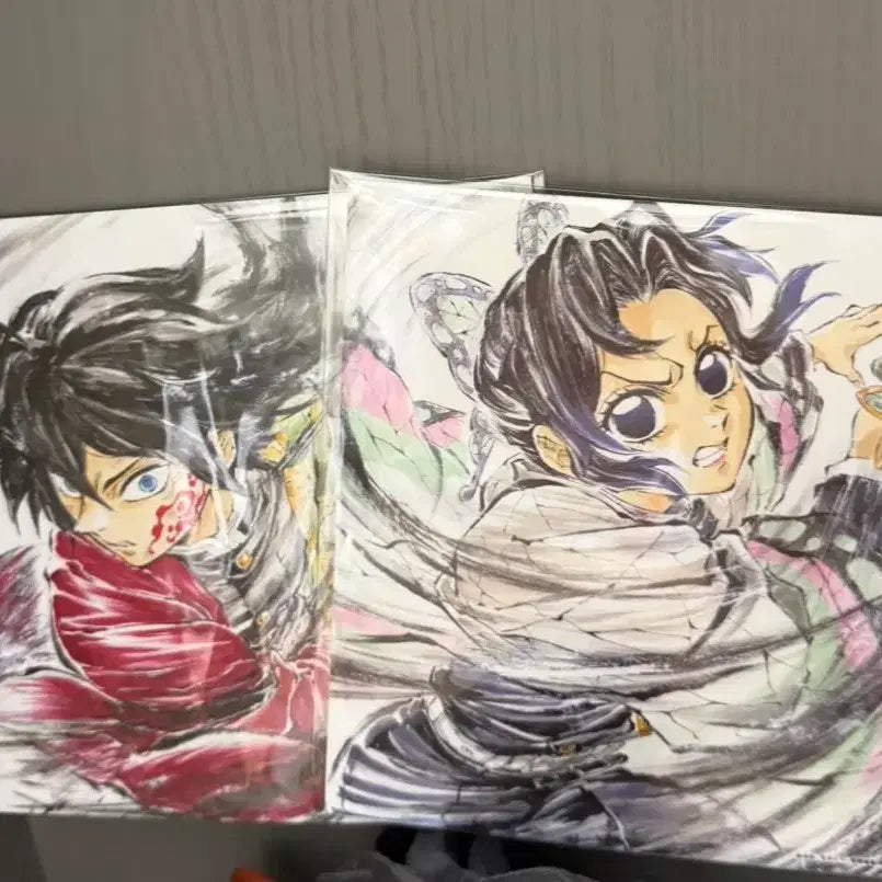 [BUNJANG] Demon Slayer Giyu Shinobu Illustration Boards Bundle Set / [2종 일괄] 귀멸의칼날 기유 시노부 일러스트 보드