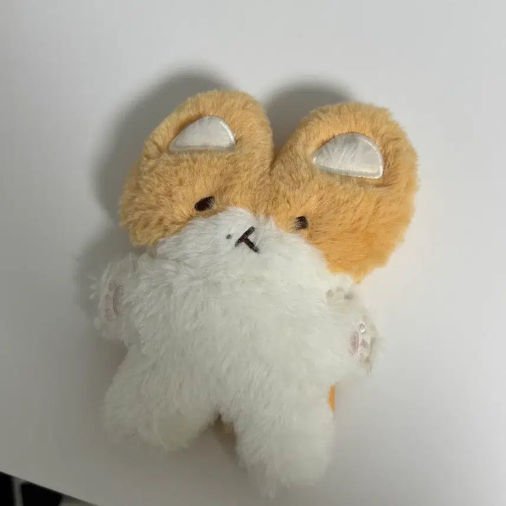 [BUNJANG] Fluffy Magnet: You Must Protect Me / 백현 터래기 마그넷 너가나를지켜야해