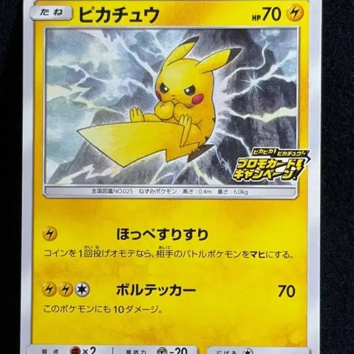 [BUNJANG] Pokemon Pikachu Promo Card / 포켓몬 피카피카 피카츄 프로모 카드