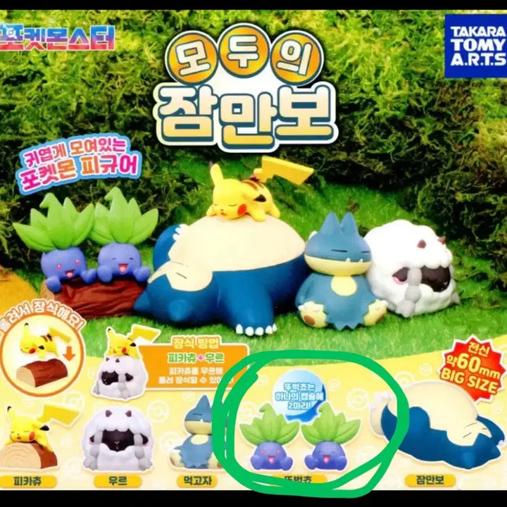 [BUNJANG] Pokémon All&