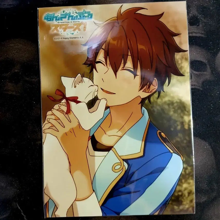 [BUNJANG] Ensemble Stars Chiaki Morisawa Photocard / 앙스타 앙상블스타즈 유성대 모리사와 치아키 포토카드 포카