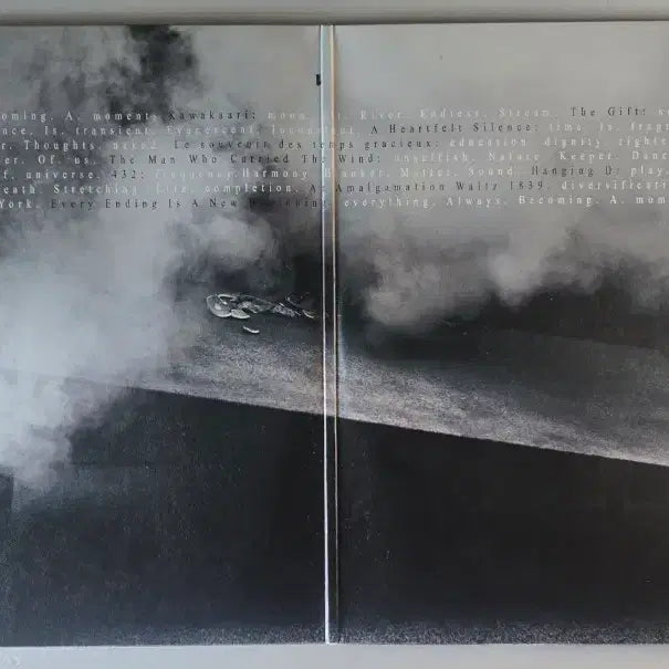 [BUNJANG] Joep Beving Prehension 2LP / Joep Beving - Prehension 2LP (DG 2017년)