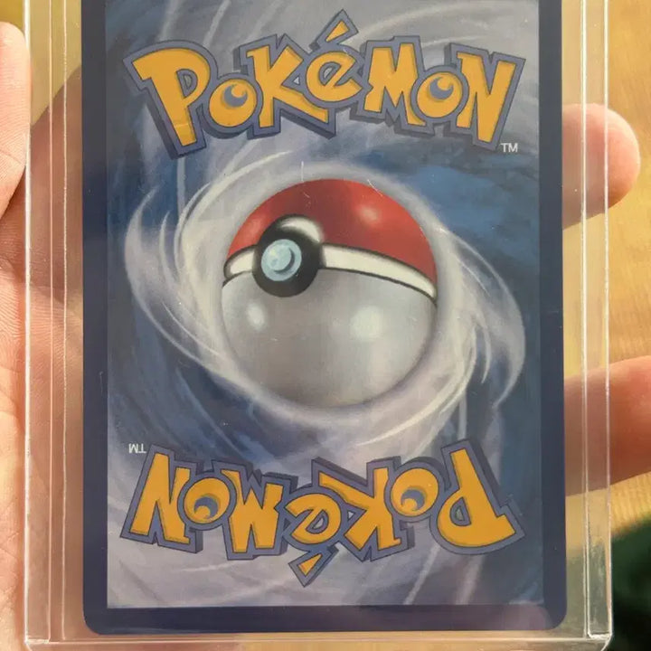 [BUNJANG] Rayquaza V Special Illustration Rare Mint Condition / 레쿠쟈v 특일 상태 최상