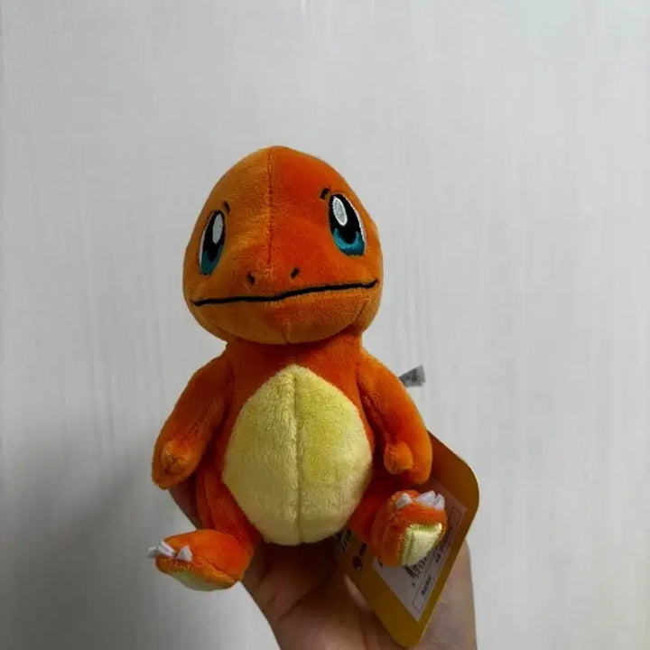[BUNJANG] Pokemon Fit Charmander Plush / 포켓몬 fit 파이리