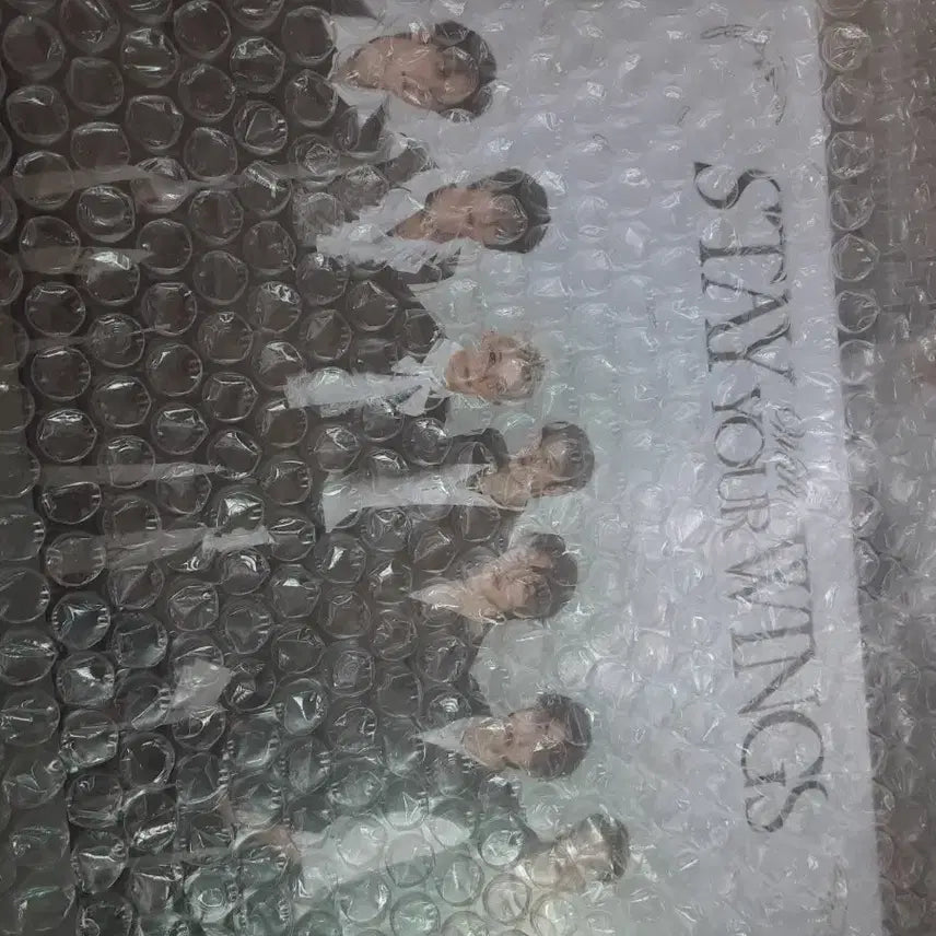 [BUNJANG] Stray Kids 6th Membership Fan Kit (Sealed) / 완전 미개봉)스트레이키즈 스키즈 6기 멤버쉽 팬키트 kit skz