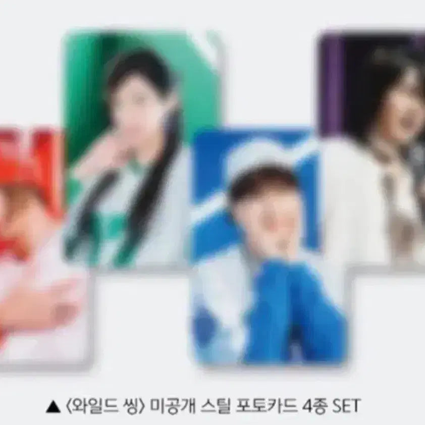[BUNJANG] Wild Thing Photocard Set (4 Types) / 와일드씽 포토카드 4종set