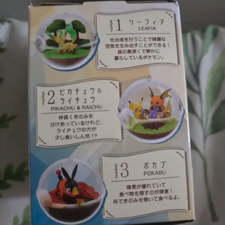 [BUNJANG] Pokemon Terrarium Tukkoori / 포켓몬 리멘트 테라리움 뚜꾸리
