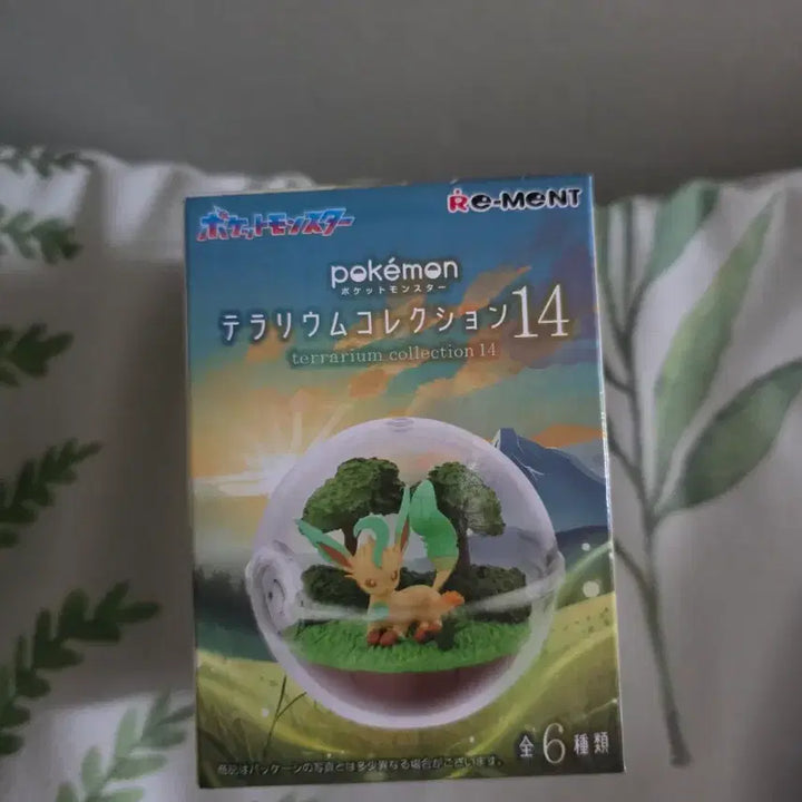 [BUNJANG] Pokemon Terrarium Tukkoori / 포켓몬 리멘트 테라리움 뚜꾸리