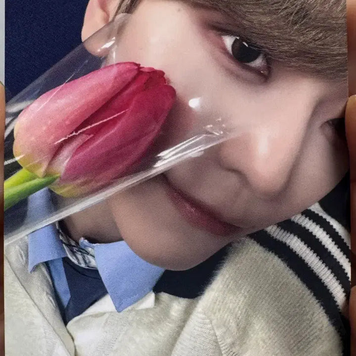 [BUNJANG] ALPHADRIVE1 Xinlong Tulip Version Makestar Lucky Draw Photocard / 알디원 씬롱 메이크스타  충칭 팬사인회 특전 튤립 포카