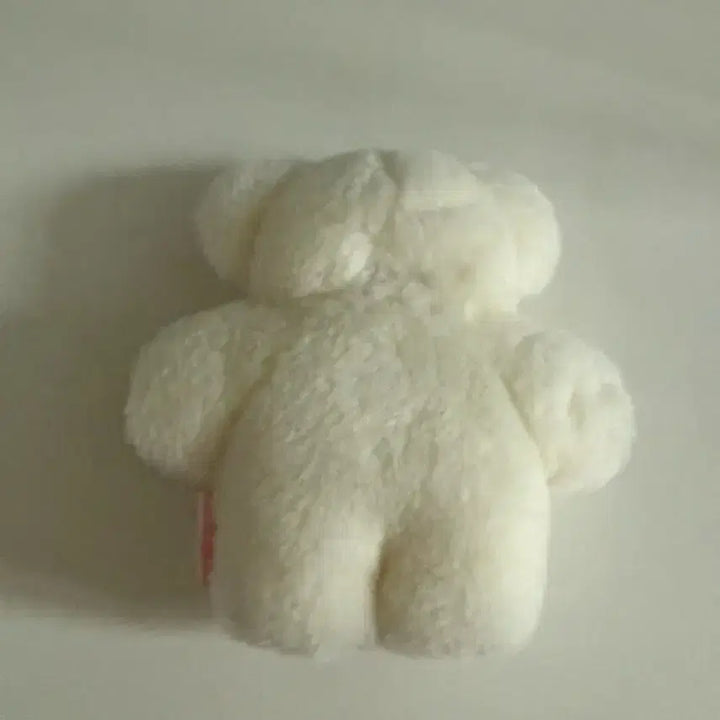 [BUNJANG] Fuwafuwamofumofu Japanese Artist Cat Plush / fuwafuwamofumofu 일본작가님 고양이 인형