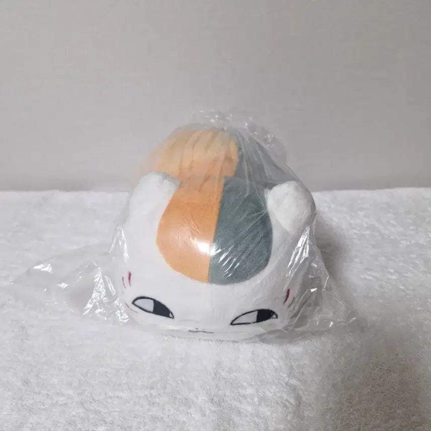 [BUNJANG] Banpresto Nyan-ko Sensei Plush / 일본정품 반프레스토 냥코센세 인형
