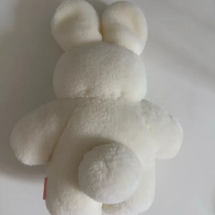 [BUNJANG] Fuwafuwa Mofumofu Rabbit Plush Doll by Japanese Artist / fuwafuwamofumofu 일본작가님 토끼인형
