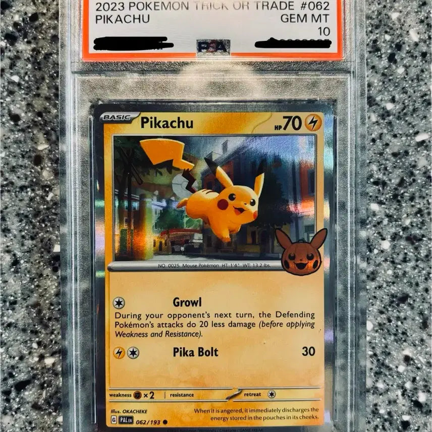 [BUNJANG] Halloween Pikachu PSA 10 Graded Card / 할로윈 피카츄 psa10
