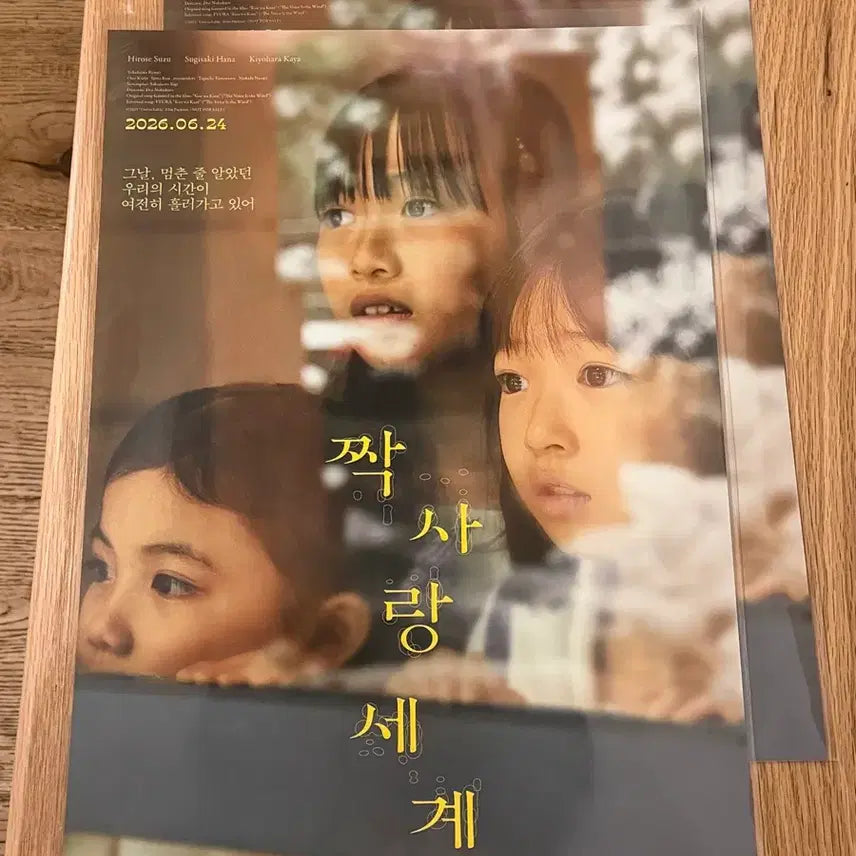 [BUNJANG] Love Is Not Blind A3 Teaser Poster / 영화 짝사랑 세계 티징 포스터 a3