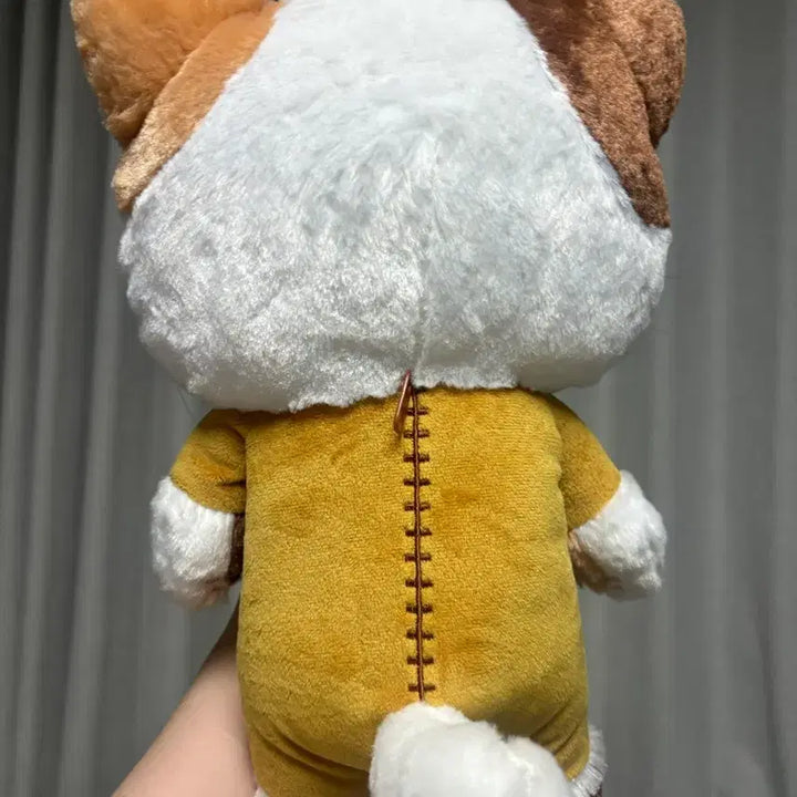 [BUNJANG] Rilakkuma Cat Plush Doll / 리락쿠마 고양이 인형