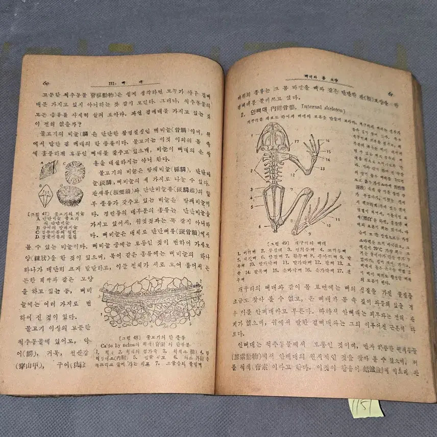 [BUNJANG] 1949 Biology Textbook (Upper Grade) by Seoul Dongji Publisher / 4282년 (1949년)  생물 .상 .서울동지사 발행