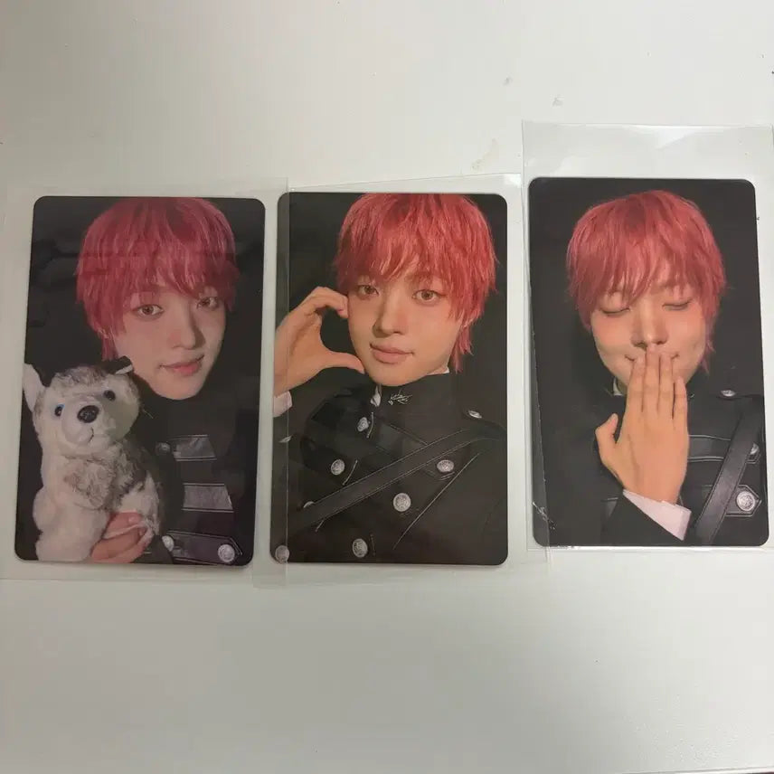 [BUNJANG] ENHYPEN Lucky Draw Weverse Woon / 앤팀 의주 일본 포토카드 일괄