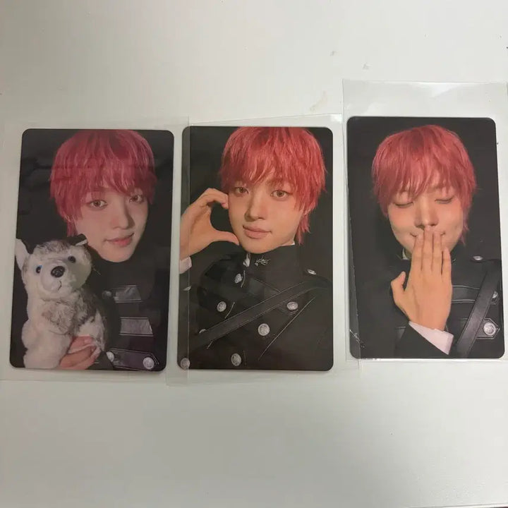 [BUNJANG] ENHYPEN Lucky Draw Weverse Woon / 앤팀 의주 일본 포토카드 일괄