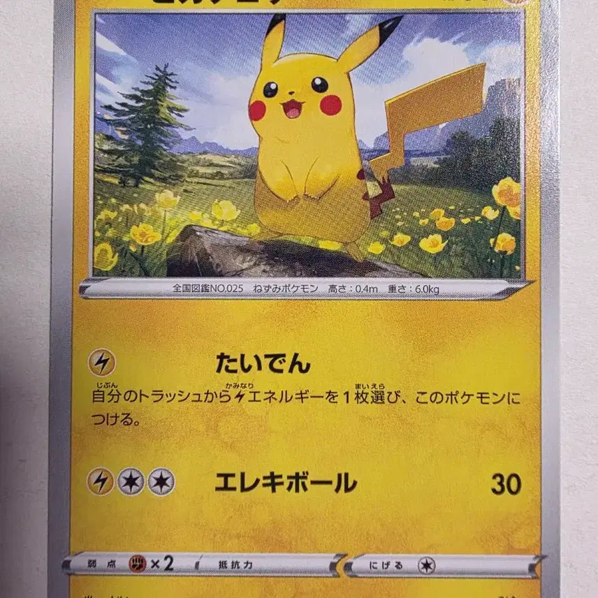 [BUNJANG] Pokemon Card Japanese Pikachu / 포켓몬카드 일판 피카츄 이브이히러로즈