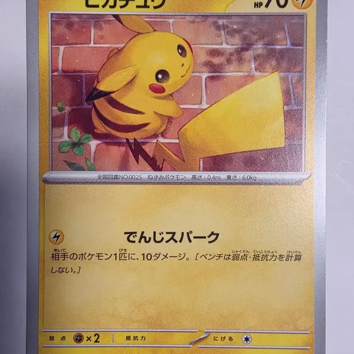 [BUNJANG] Pokemon Japanese Pikachu Card / 포켓몬카드 일판 피카츄