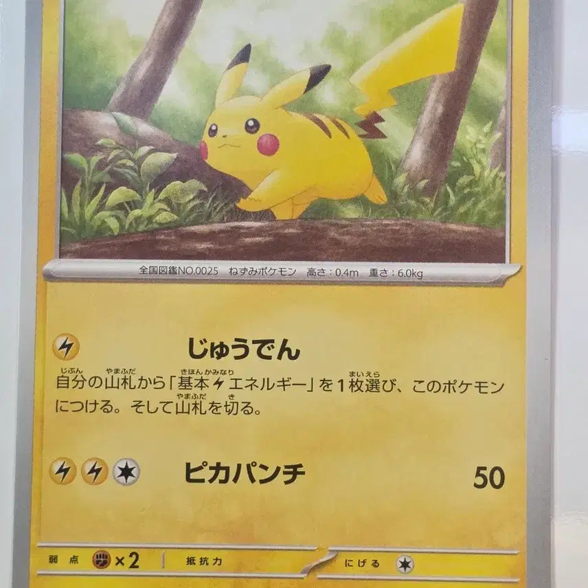 [BUNJANG] Pokemon Card Pikachu Japanese Version / 포켓몬카드 일판 피카츄