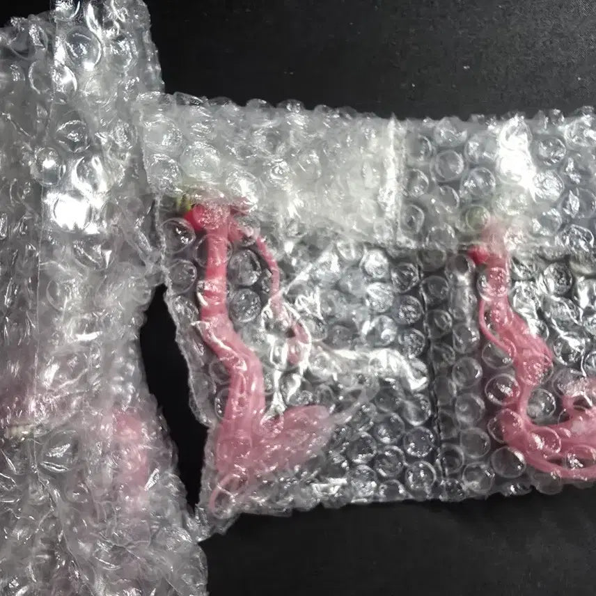 [BUNJANG] Hatsune Miku FURYU Sakura Miku 2026 Noodle Stopper Figure / 하츠네 미쿠 후류 사쿠라 2026 누들스토퍼 피규어 판매합니다