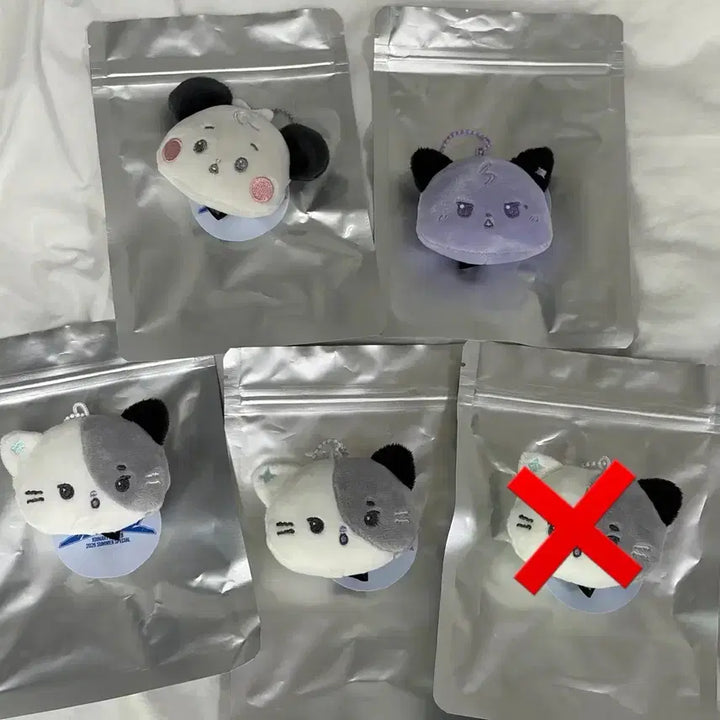 [BUNJANG] X1Z XMONZ Secret Face Keyring / 엑디즈 엑몬즈 시크릿 페이스 키링 햄일