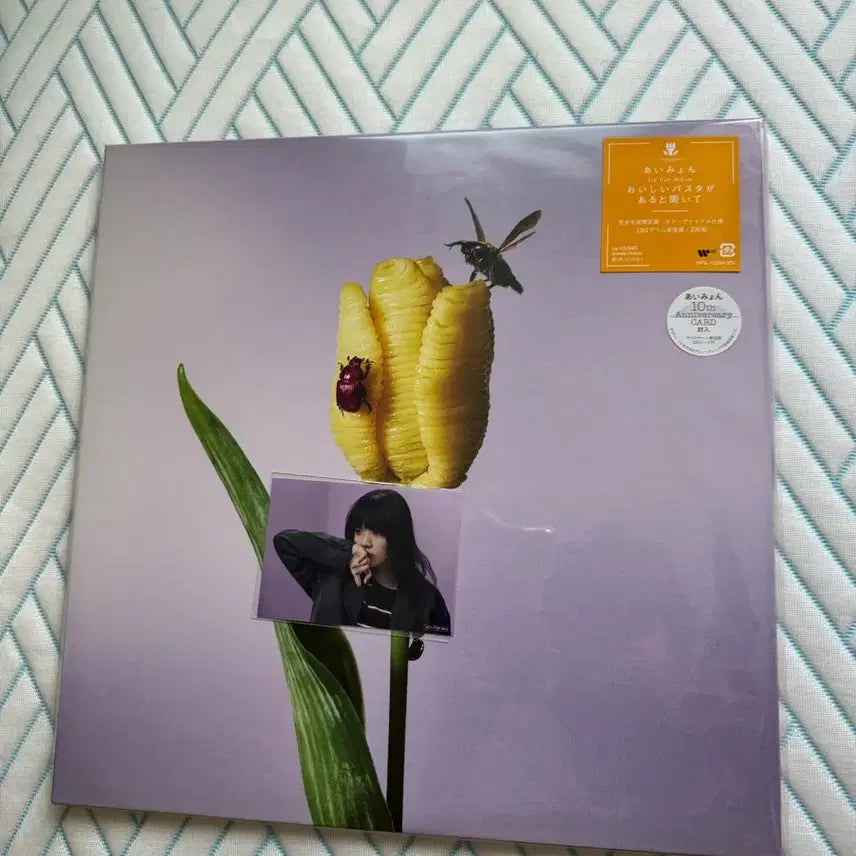 [BUNJANG] Aimyon 2nd Album 3rd Album LP / 아이묭 2집LP