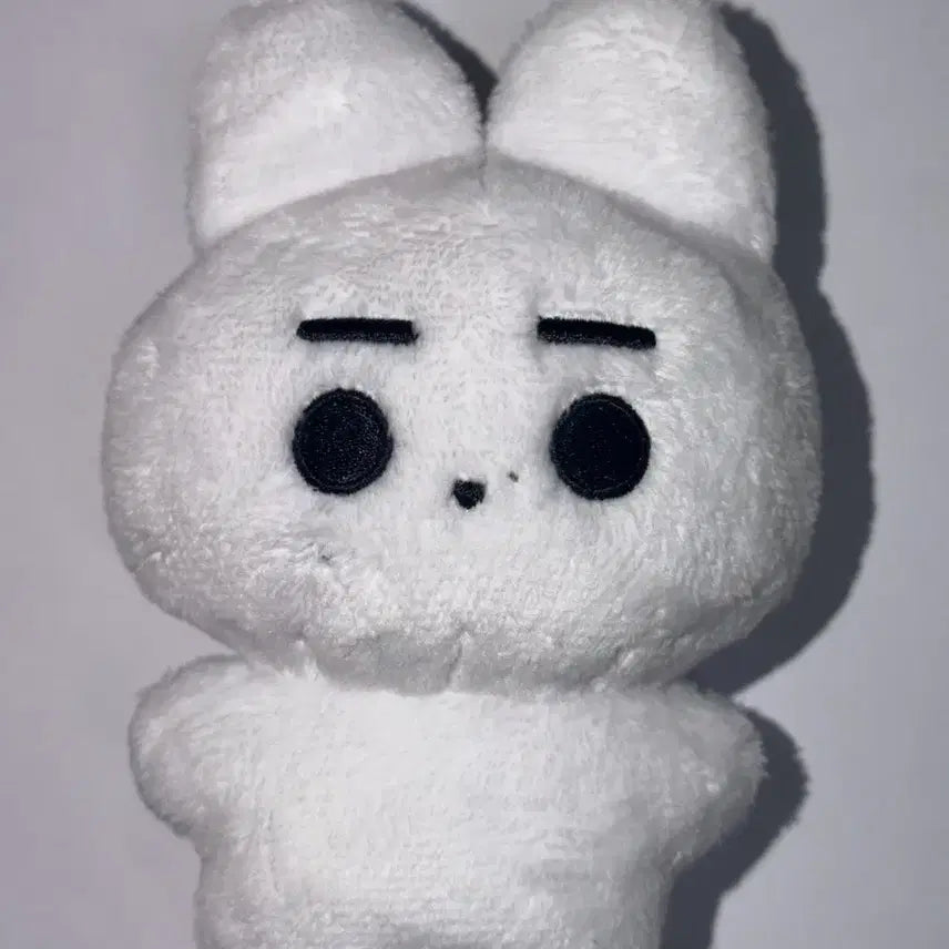 [BUNJANG] ENHYPEN Sunghoon Unofficial Plush Doll Hongki / 엔하이픈 성훈 비공식 인형 훙끼