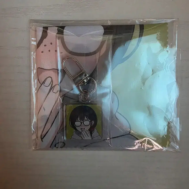 [BUNJANG] Leejiclog Hailey Kuji G Award Multi-Cleaner + Acrylic Keyring / 이직로그 헤일리 쿠지G상 멀티클리너+아크릴키링