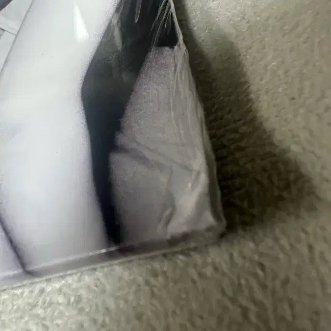 [BUNJANG] Playboi Carti Die Lit LP (Unsealed) / 플레이보이 카티 die lit lp 미개봉
