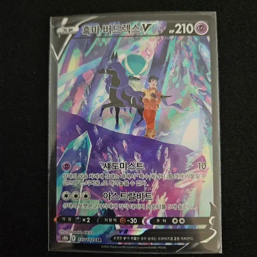 [BUNJANG] Black Rayquaza V CSR / 흑마 버드렉스 V CSR