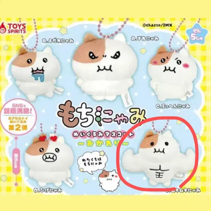 [BUNJANG] Jjonnyami Doll Gacha / 쫀냐미 인형 가챠